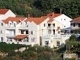 Ferienwohnungen Cavtat (Dubrovnik) - 3175