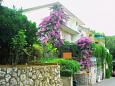 Appartement Jelsa (Hvar) - 4019