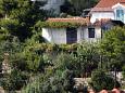 Apartmanok Maslinica (Šolta) - 5176