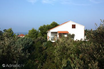Apartmanok Maslinica (Šolta) - 5177