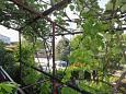Taras - widok - Apartament A-5338-a - Apartamenty Šmrika (Kraljevica) - 5338
