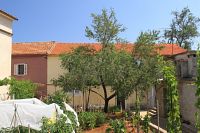 Facility No.8109