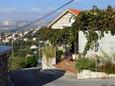 Apartments Mlini (Dubrovnik) - 8570