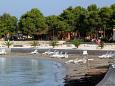 Најблиска плажа - Апартмани Umag (Umag) - 7109