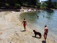 Pláž v blízkosti - Ubytování Stari Grad (Hvar) - 5724