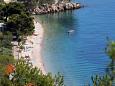 Badstränder i närheten - Apartments and Rooms Živogošće - Blato (Makarska) - 521