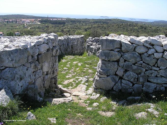 Monkodonja nei pressi di Rovigno