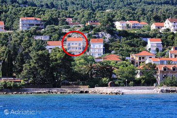 Property - Apartments 10080 Property Orebić (Pelješac) - Accommodation 10080 - Apartments with pebble beach.