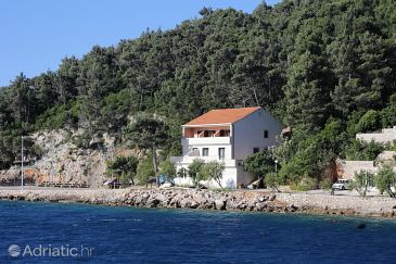 Property - Apartments 10110 Property Trstenik (Pelješac) - Accommodation 10110 - Apartments near sea.