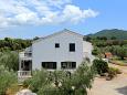 Apartments Drače (Pelješac) - 10127