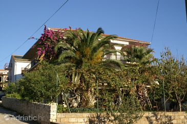 Property - Apartments 1073 Property Okrug Gornji (Čiovo) - Accommodation 1073 - Apartments near sea with pebble beach.