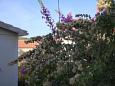 Shared terrace - view Shared terrace - view - Apartment A-1090-a - Apartments Rogoznica (Rogoznica) - 1090