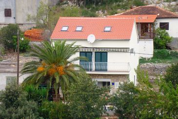 Property - Apartments 11422 Property Maslinica (Šolta) - Accommodation 11422 - Apartments near sea.
