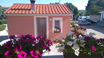 Property - Apartments 11689 Property Posedarje (Novigrad) - Accommodation 11689 - Apartments near sea.