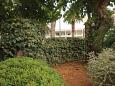 Shared terrace - view Shared terrace - view - Studio flat AS-1170-a - Apartments Vis (Vis) - 1170