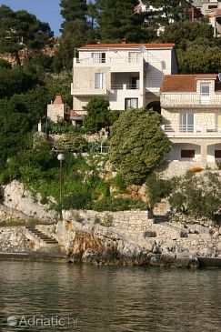 Property - Apartments 186 Property Zavalatica (Korčula) - Accommodation 186 - Apartments near sea.