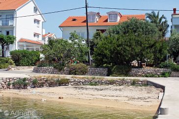 Property - Apartments and Rooms 2014 Property Barbat (Rab) - Accommodation 2014 - Apartments and Rooms near sea with pebble beach.