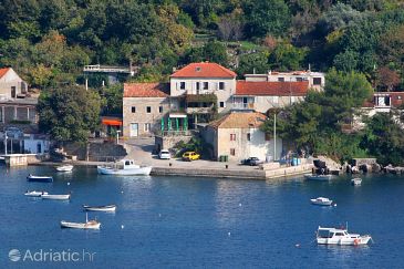 Property - Apartments and Rooms 2139 Property Molunat (Dubrovnik) - Accommodation 2139 - Apartments and Rooms near sea with sandy beach.