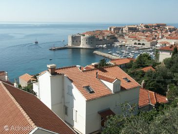 Property - Apartments 2154 Property Dubrovnik (Dubrovnik) - Accommodation 2154 - Apartments near sea with pebble beach.