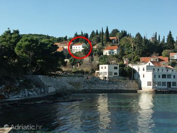 Property - Rooms 2181 Property Koločep (Elafiti) - Accommodation 2181 - Rooms near sea.