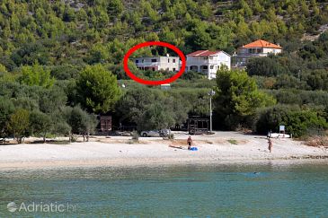 Property - Apartments 219 Property Prižba (Korčula) - Accommodation 219 - Apartments in Croatia.
