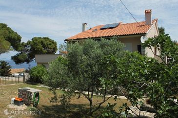 Property - Apartments 2485 Property Mali Lošinj (Lošinj) - Accommodation 2485 - Apartments near sea with pebble beach.