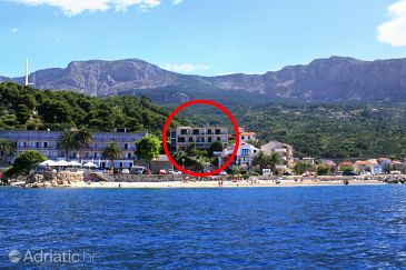 Property - Apartments and Rooms 2601 Property Podgora (Makarska) - Accommodation 2601 - Apartments and Rooms near sea with pebble beach.
