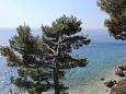 Shared terrace - view Shared terrace - view - Apartment A-2797-g - Apartments Stanići (Omiš) - 2797
