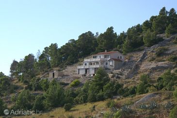 Property - Apartments 2897 Property Vela Farska (Brač) - Accommodation 2897 - Apartments with pebble beach.