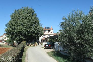 Property - Apartments and Rooms 3021 Property Valbandon (Fažana) - Accommodation 3021 - Apartments and Rooms with pebble beach.