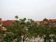 Terrace - view Terrace - view - Room S-3077-d - Rooms Gajac (Pag) - 3077