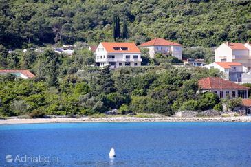 Property - Apartments 3151 Property Žrnovska Banja (Korčula) - Accommodation 3151 - Apartments near sea with pebble beach.