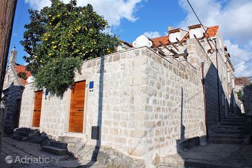 Property - Vacation Rentals 3187 Property Cavtat (Dubrovnik) - Accommodation 3187 - Vacation Rentals near sea.