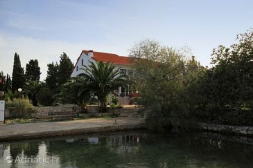 Property - Rooms 3538 Property Muline (Ugljan) - Accommodation 3538 - Rooms near sea.