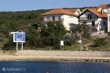 Property - Apartments 358 Property Sveti Petar (Biograd) - Accommodation 358 - Apartments near sea with pebble beach.