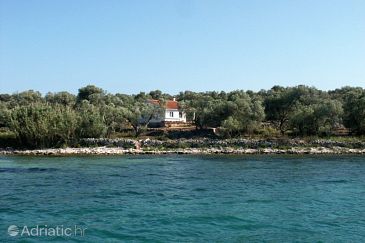 Property - Vacation Rentals 397 Property Krknata (Dugi otok) - Accommodation 397 - Vacation Rentals near sea with rocky beach.