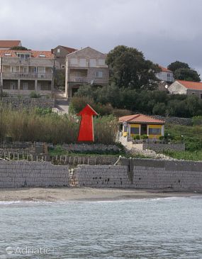 Property - Apartments 4441 Property Lumbarda (Korčula) - Accommodation 4441 - Apartments near sea with sandy beach.