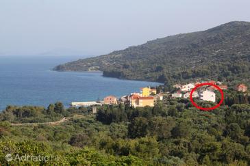 Property - Apartments and Rooms 448 Property Uvala Soline (Dugi otok) - Accommodation 448 - Apartments and Rooms near sea with pebble beach.
