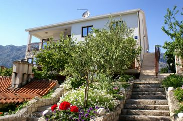 Property - Apartments 4496 Property Orebić (Pelješac) - Accommodation 4496 - Apartments near sea with pebble beach.