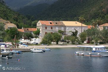 Property - Apartments 4511 Property Trstenik (Pelješac) - Accommodation 4511 - Apartments near sea with pebble beach.