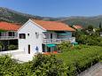 Apartments Orebić (Pelješac) - 4513