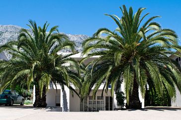 Property - Apartments 4558 Property Orebić (Pelješac) - Accommodation 4558 - Apartments with sandy beach.