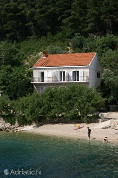 Property - Apartments and Rooms 4566 Property Trstenik (Pelješac) - Accommodation 4566 - Apartments and Rooms near sea with pebble beach.
