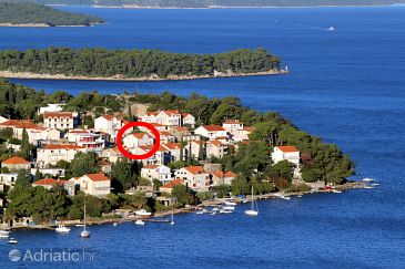 Property - Apartments and Rooms 4704 Property Dubrovnik (Dubrovnik) - Accommodation 4704 - Apartments and Rooms near sea with pebble beach.