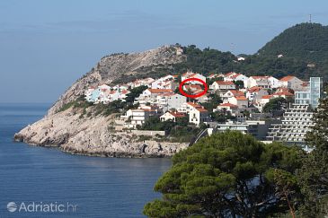Property - Apartments 4716 Property Dubrovnik (Dubrovnik) - Accommodation 4716 - Apartments with pebble beach.
