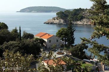 Property - Apartments 4717 Property Štikovica (Dubrovnik) - Accommodation 4717 - Apartments near sea.