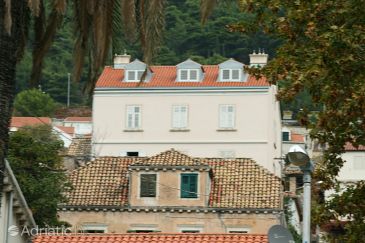 Property - Apartments 4771 Property Dubrovnik (Dubrovnik) - Accommodation 4771 - Apartments with pebble beach.
