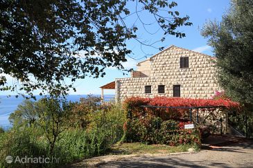 Property - Apartments 4792 Property Plat (Dubrovnik) - Accommodation 4792 - Apartments with pebble beach.