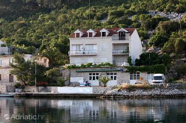 Property - Apartments and Rooms 4909 Property Polače (Mljet) - Accommodation 4909 - Apartments and Rooms near sea.