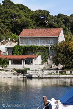 Property - Apartments and Rooms 4918 Property Pomena (Mljet) - Accommodation 4918 - Apartments and Rooms near sea with pebble beach.